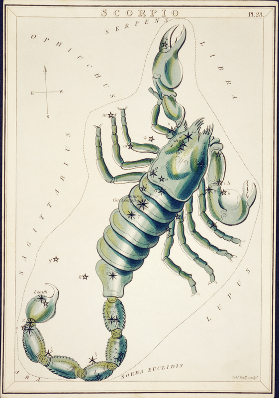 Scorpio