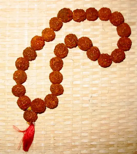 Rudraksha beads